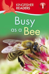 Image of Busy as a Bee Level 1