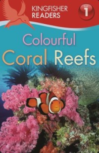 Image of Colourful Coral Reefs