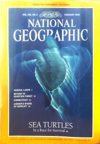 Image of National Geographic : Sea Turtles In a Race for Surviva