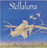 Image of Stellaluna