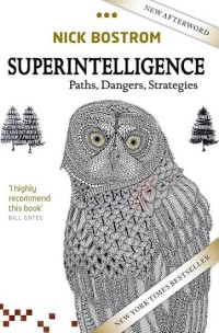 Image of Superintelligence: Paths, Dangers, Strategies