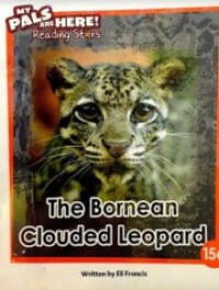 Image of The Bornean Clouded Leopard 15d