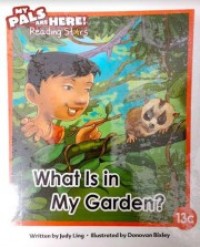 Image of What Is in My Garden? 13c