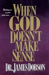 Image of When God Doesn't Make Sense