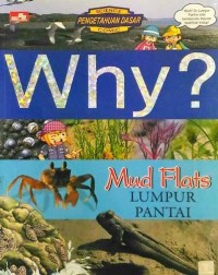Image of Why? Mud Flats Lumpur Pantai