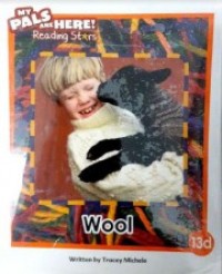 Image of Wool 13 d